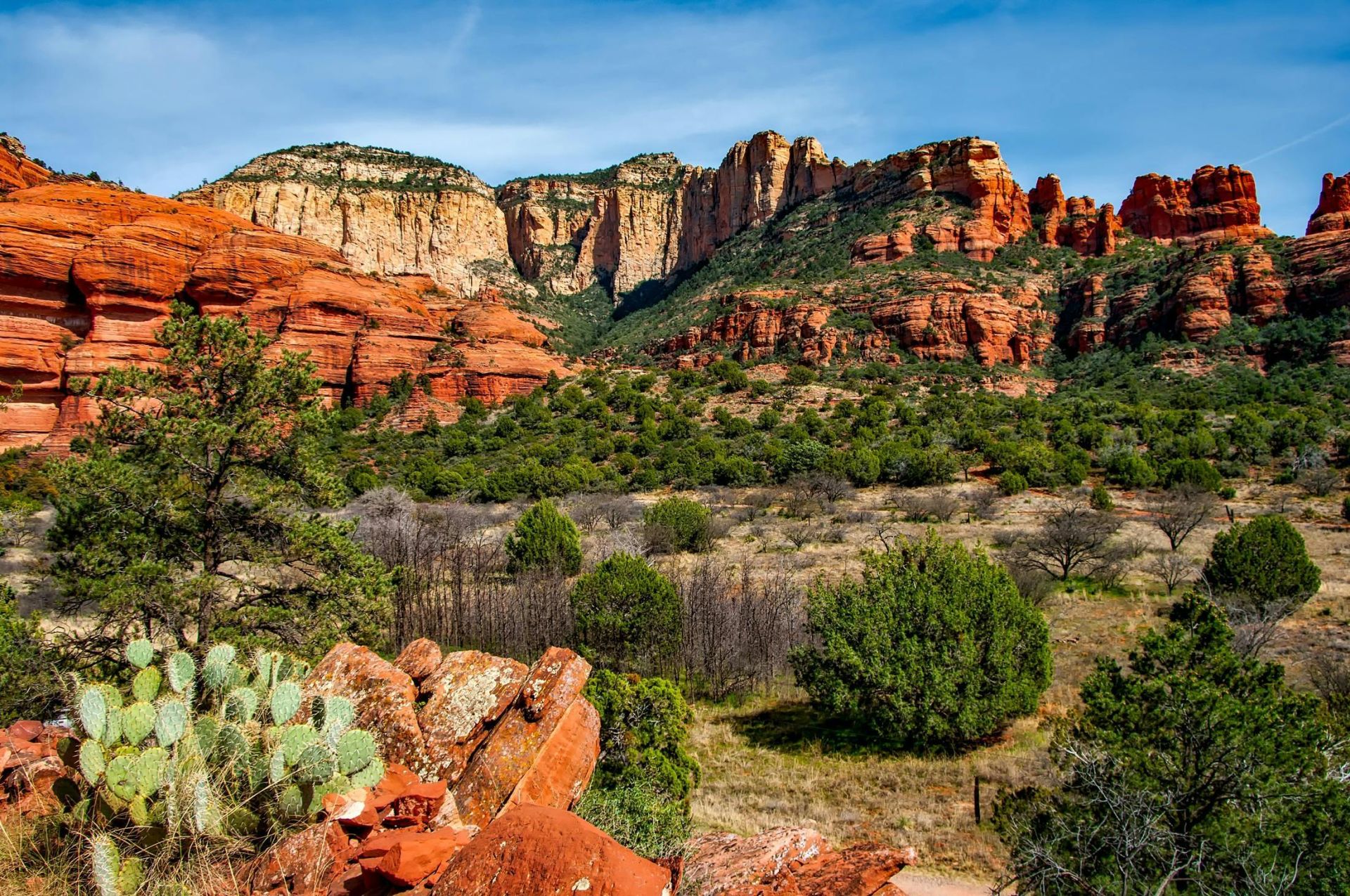 Breathtaking view of red rock formations and lush greenery in Sedona, Arizona.